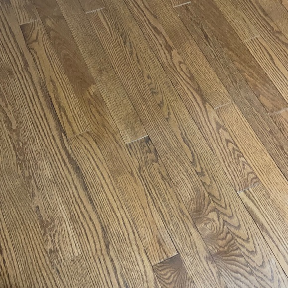 Meet your Posher, Tanzeena - Picture 1 of 1